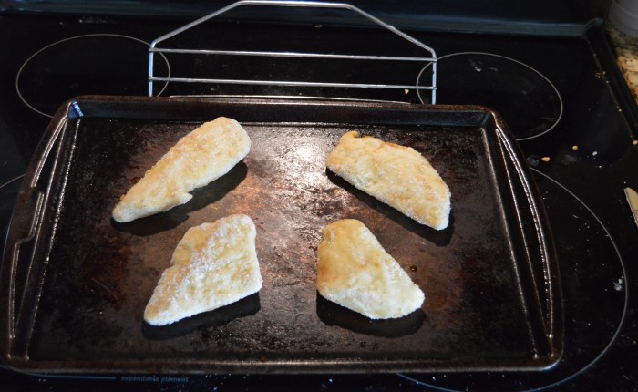 A Fishy Little&nbsp;Tail