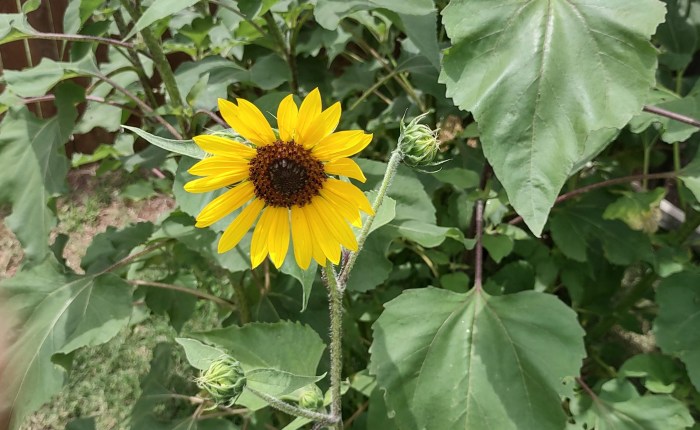 Some Words Have None of the&nbsp;Luck