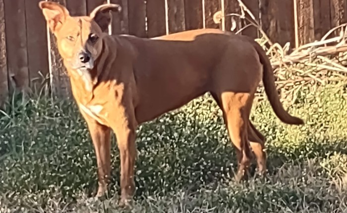 New Year – New…&nbsp;Something