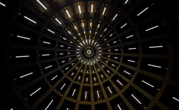 Crypto Through the Tulips